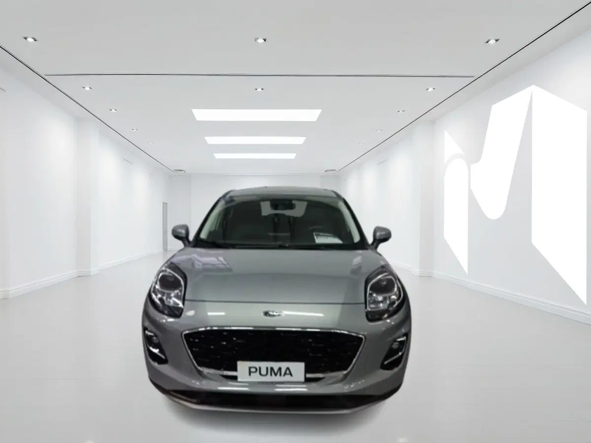 Ford Puma nuova a Latina (4)