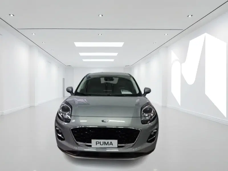 Ford Puma nuova a Latina (4)