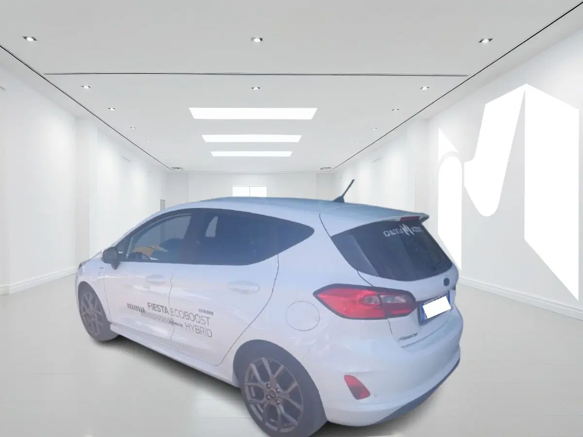 Ford Fiesta nuova a Latina (2)