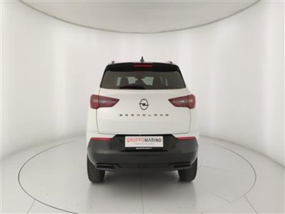 Opel Grandland usata a Bari (6)