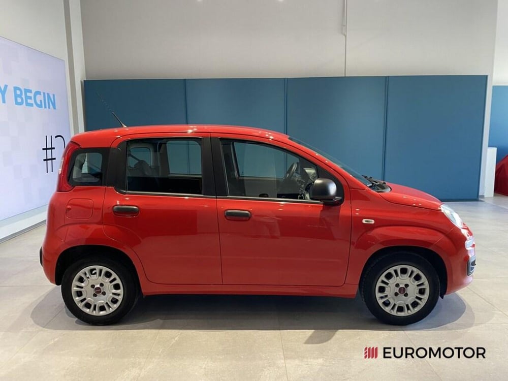 Fiat Panda usata a Bari (4)