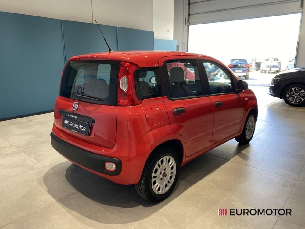 Fiat Panda usata a Bari (5)
