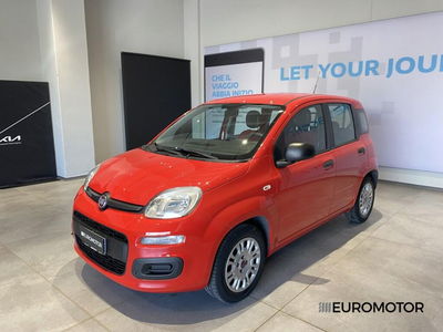 Fiat Panda 1.2 EasyPower Easy del 2019 usata a Modugno
