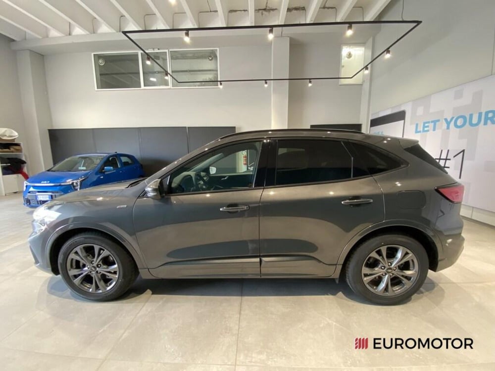 Ford Kuga usata a Bari (12)