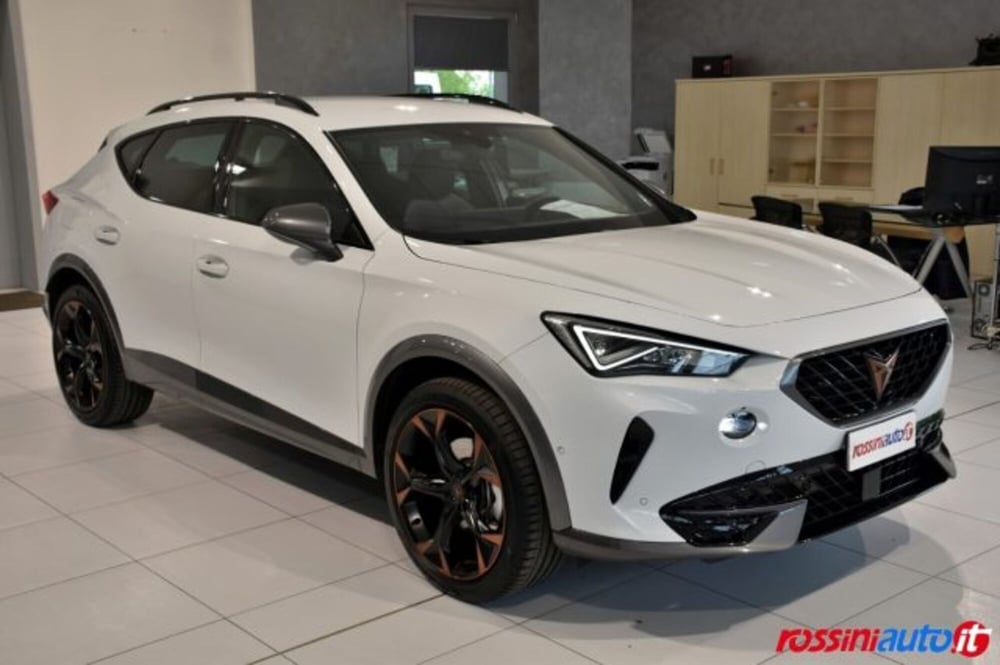 Cupra Formentor usata a Brescia (7)