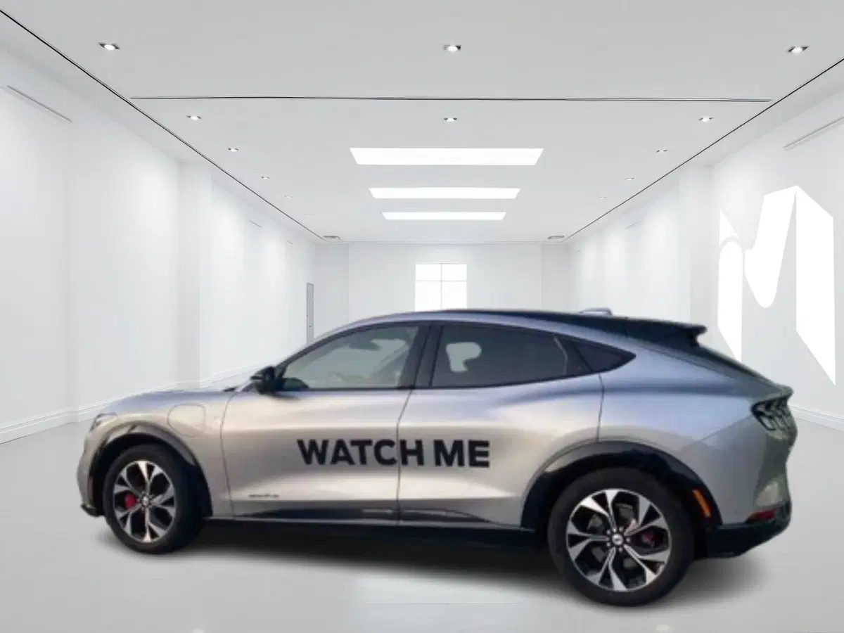 Ford Mustang Mach-E usata a Latina (3)