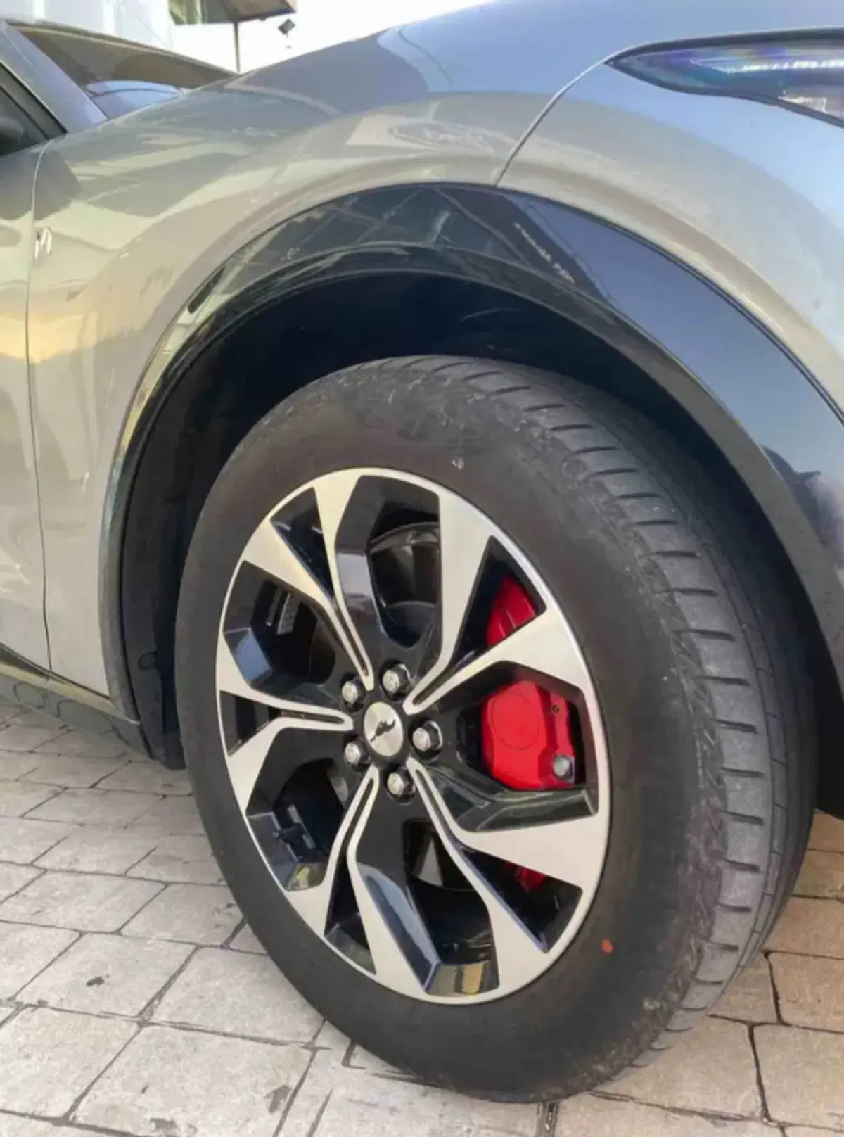 Ford Mustang Mach-E usata a Latina (7)