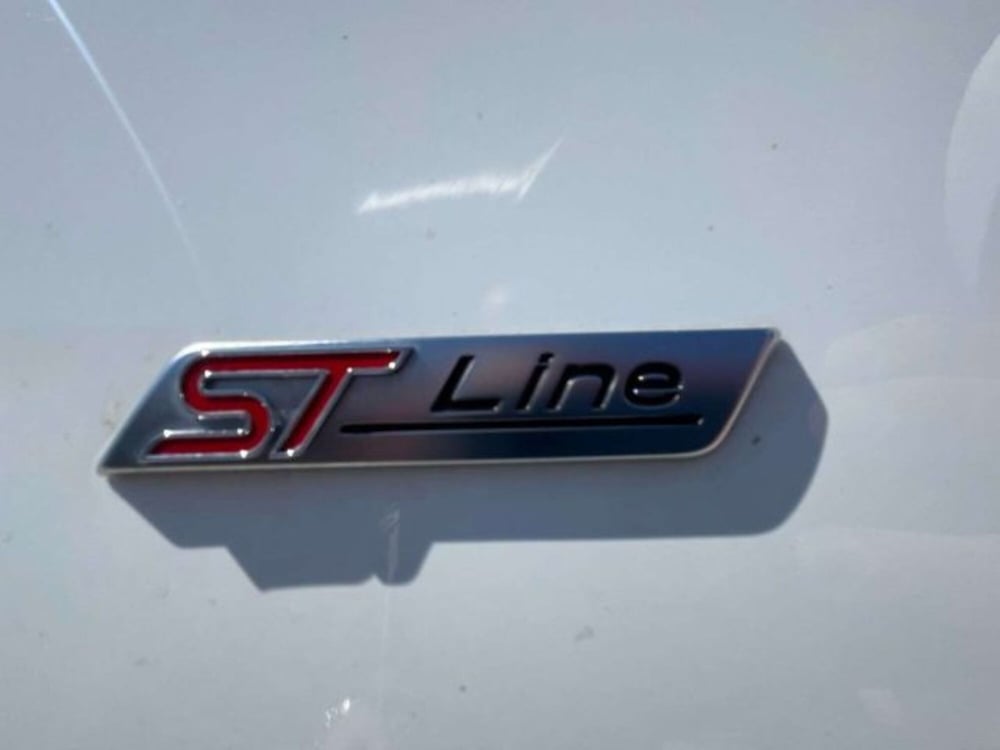 Ford Puma usata a Firenze (10)