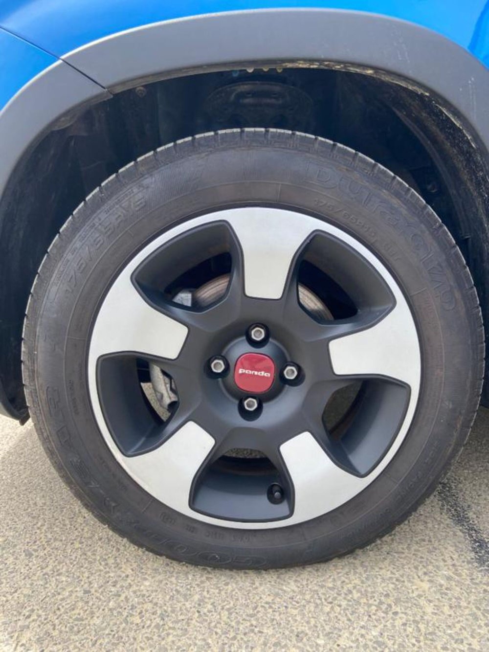 Fiat Panda Cross usata a Firenze (8)