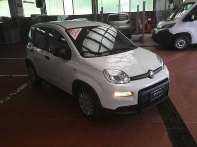 Fiat Panda 1.0 FireFly S&amp;S Hybrid City Cross nuova a Varese