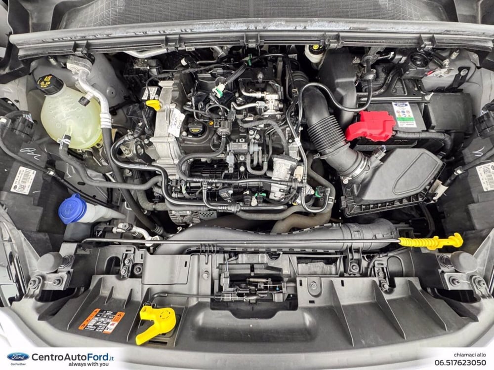 Ford Puma usata a Roma (12)