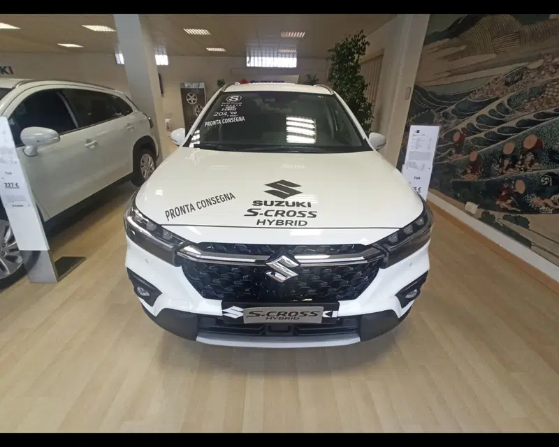 Suzuki S-Cross usata a Treviso (5)