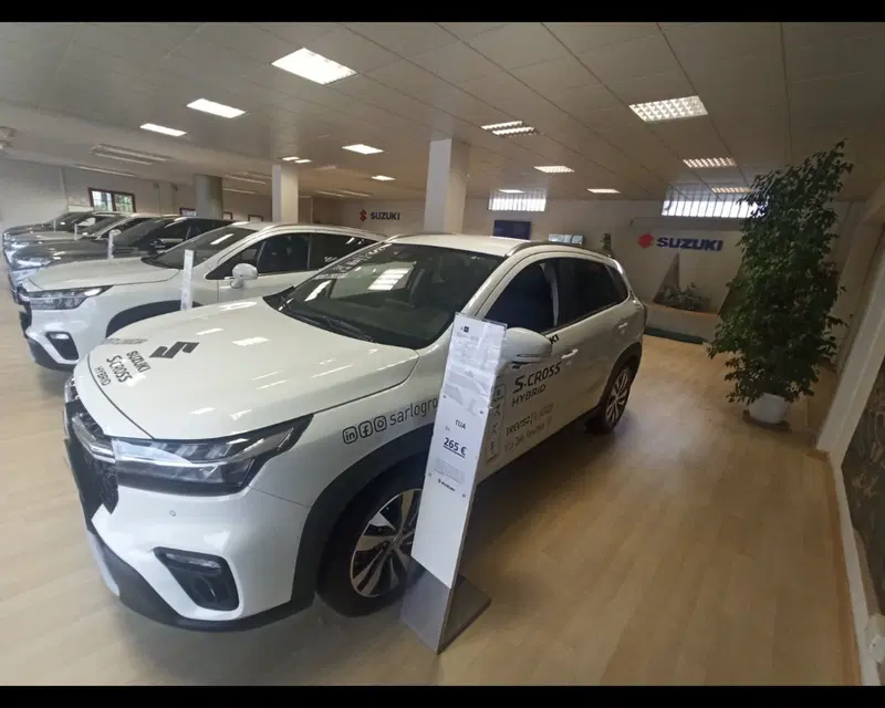 Suzuki S-Cross usata a Treviso (7)