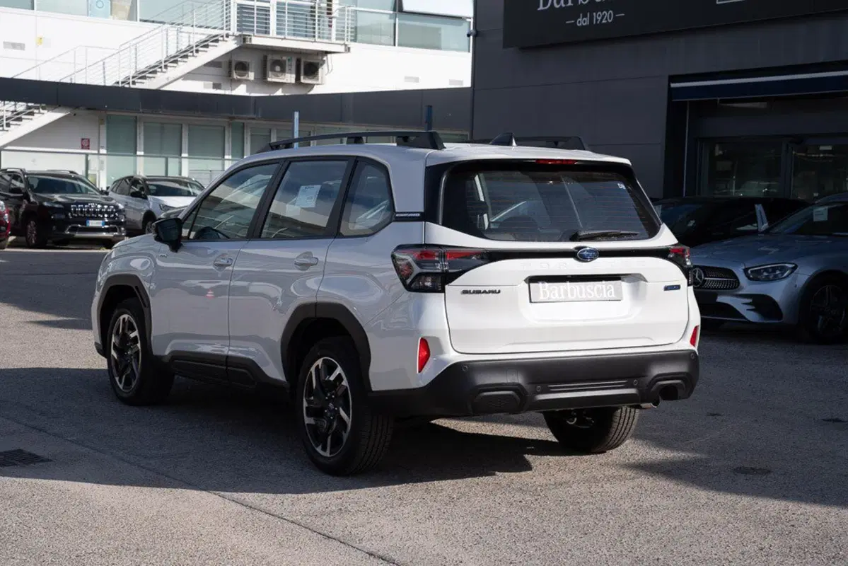 Subaru Forester nuova a Pescara (6)