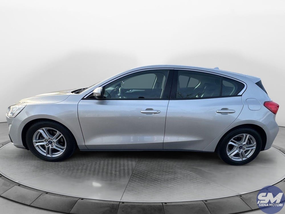 Ford Focus usata a Siena (2)