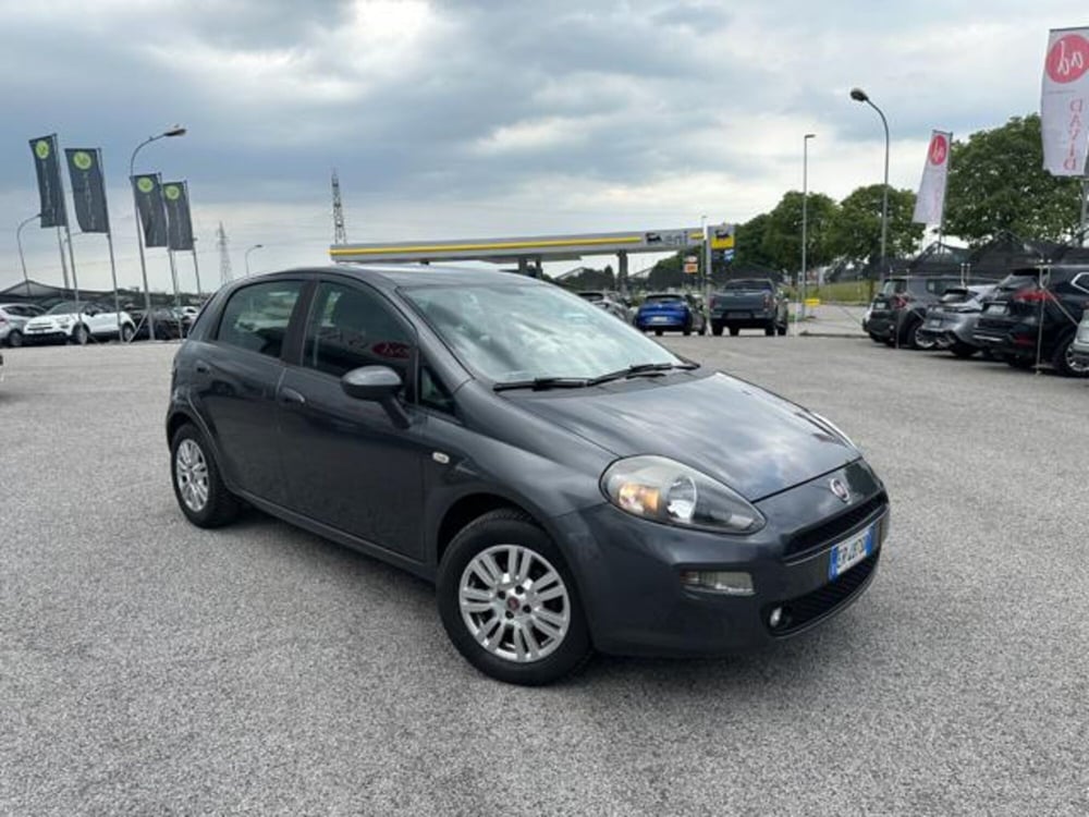 Fiat Punto usata a Pordenone