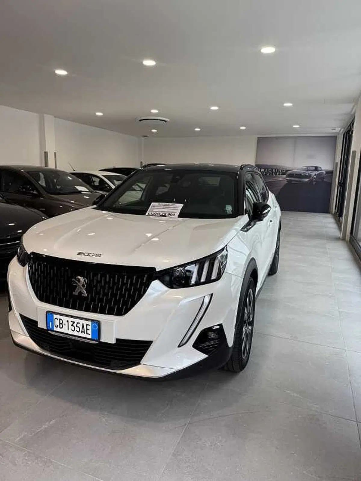 Peugeot 2008 usata a Lecce (5)