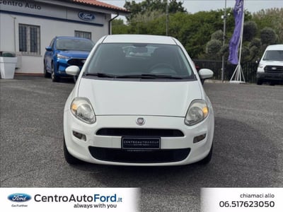 Fiat Punto 1.4 8V 5 porte Easypower Easy del 2014 usata a Albano Laziale