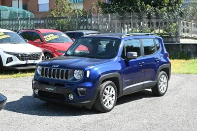 Jeep Renegade 1.0 T3 Limited del 2021 usata a Pianezza
