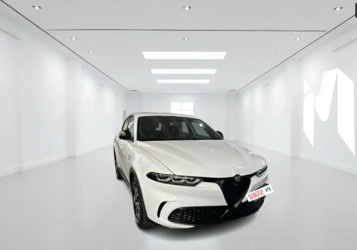 Alfa Romeo Tonale usata a Latina