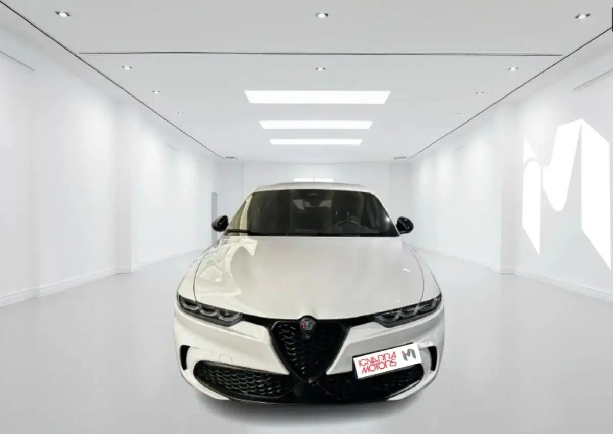 Alfa Romeo Tonale usata a Latina (2)