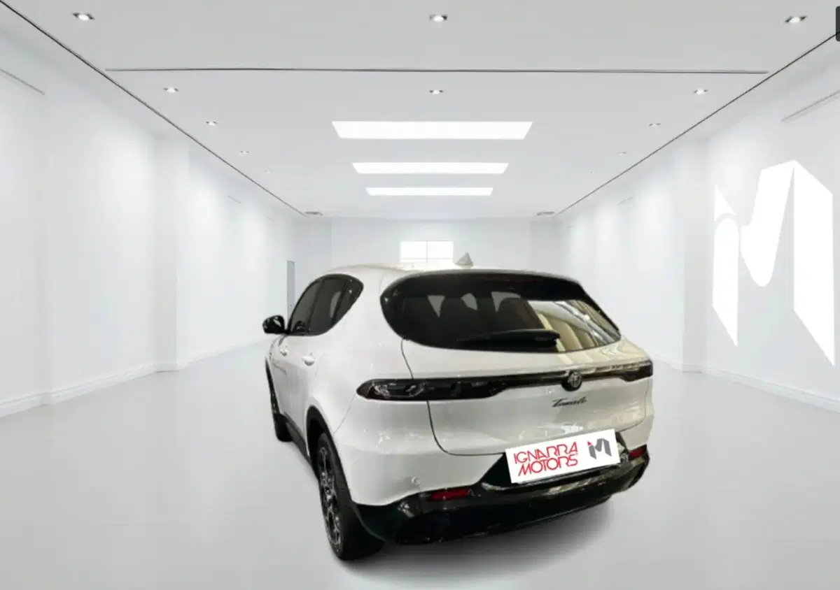 Alfa Romeo Tonale usata a Latina (3)