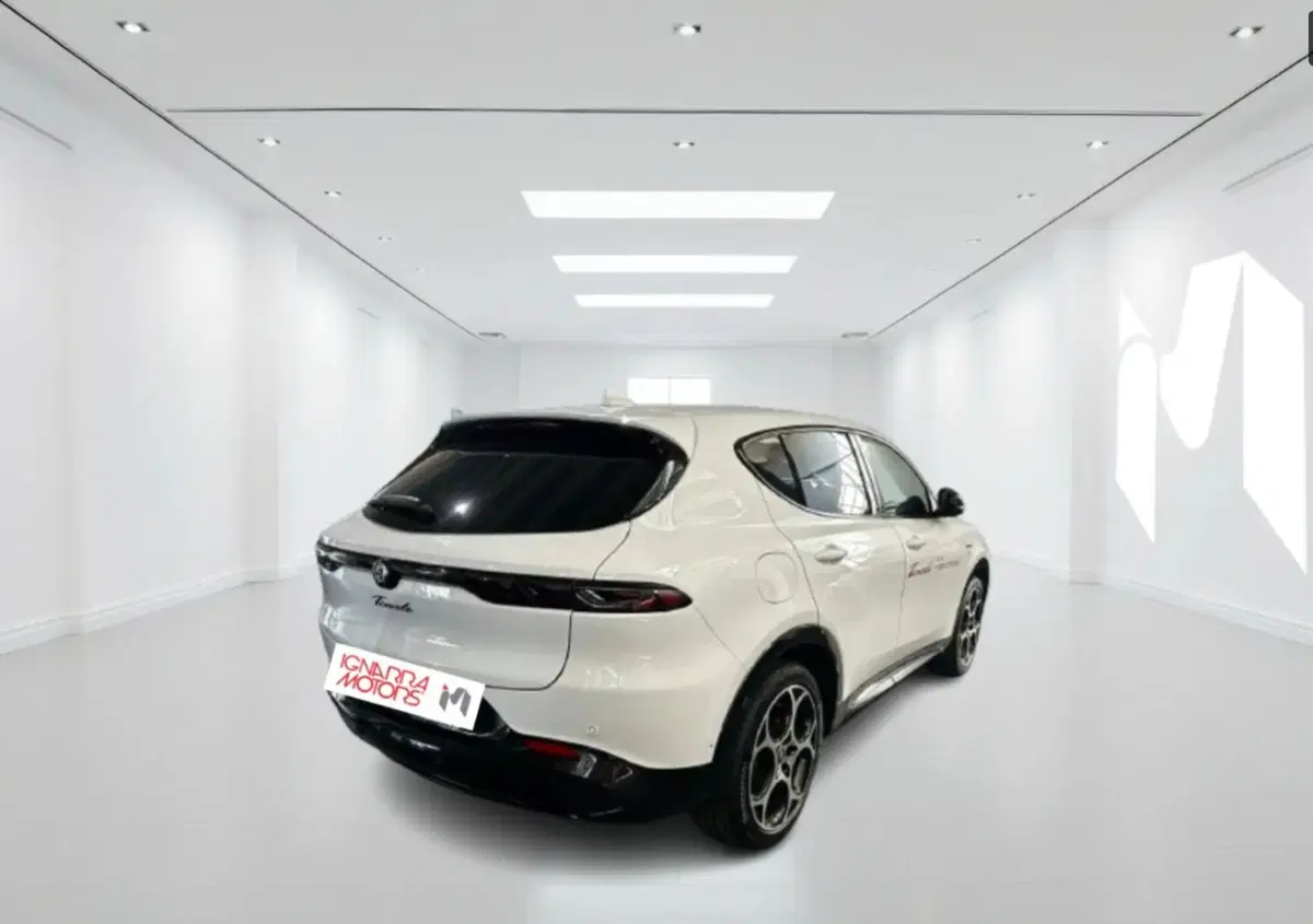 Alfa Romeo Tonale usata a Latina (4)