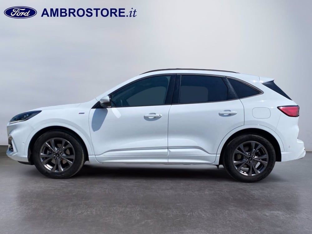 Ford Kuga usata a Milano (8)
