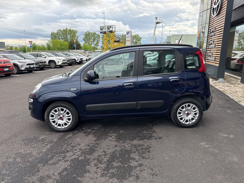 Fiat Panda usata a Bologna (2)