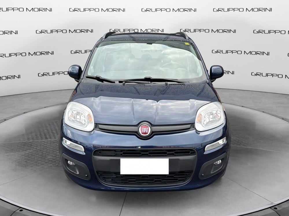 Fiat Panda usata a Bologna (5)