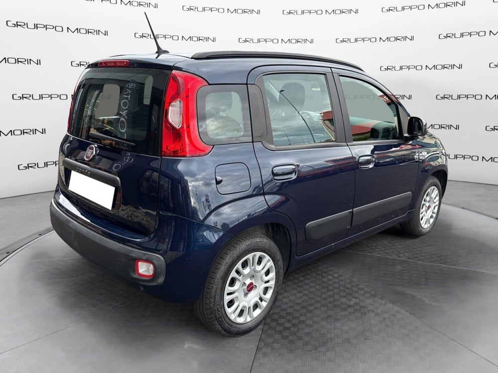 Fiat Panda usata a Bologna (6)