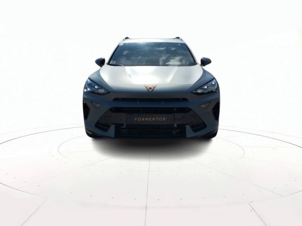 Cupra Formentor usata a Vicenza (2)