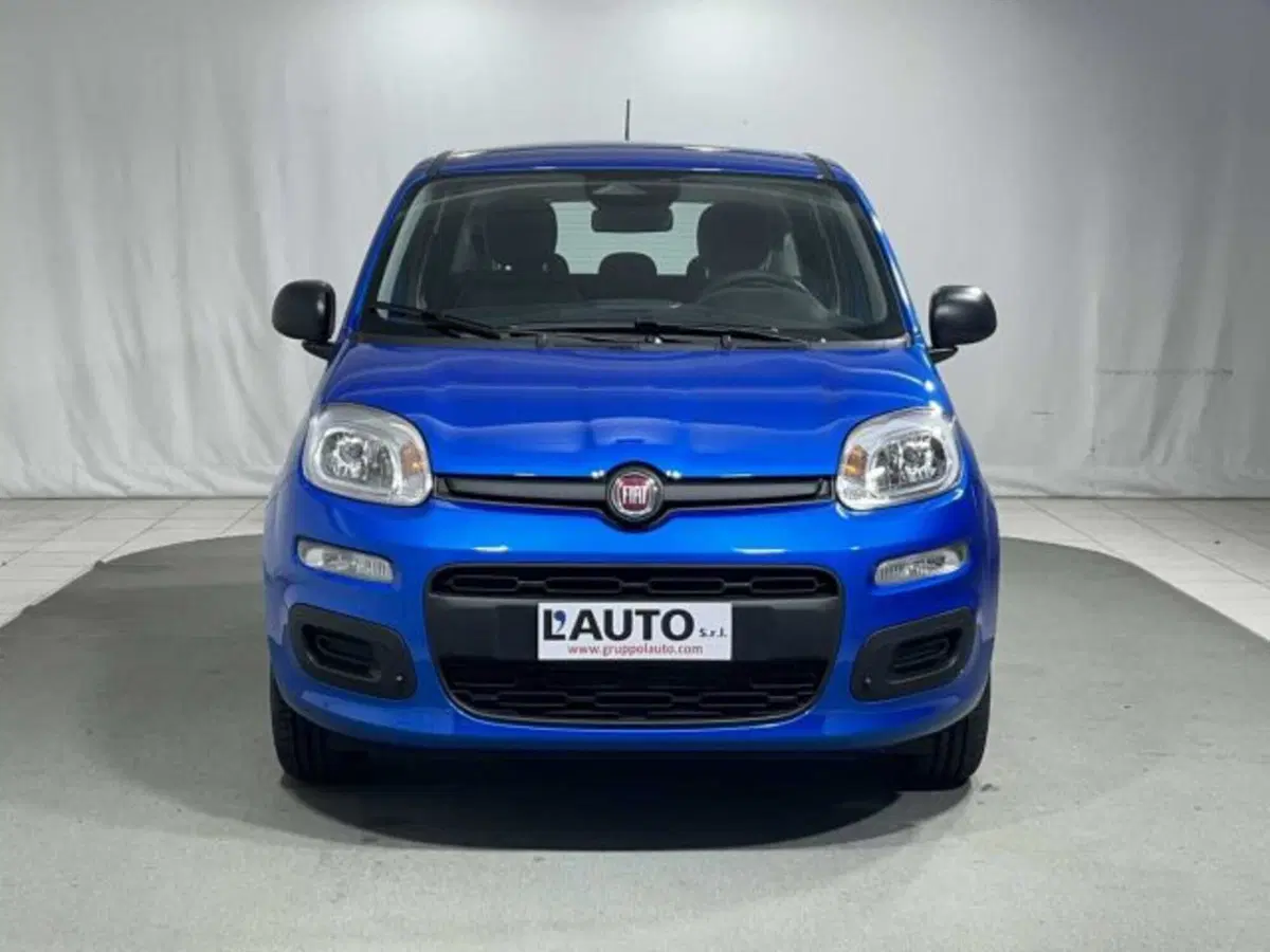 Fiat Panda nuova a Sondrio (8)