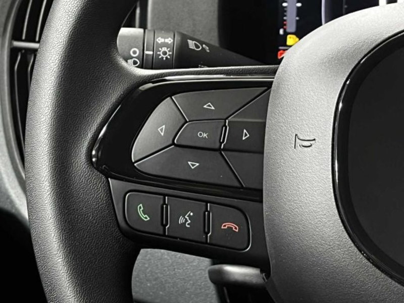 Fiat Panda nuova a Sondrio (19)