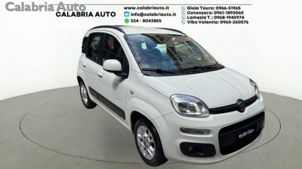 Fiat Panda usata a Reggio Calabria (2)