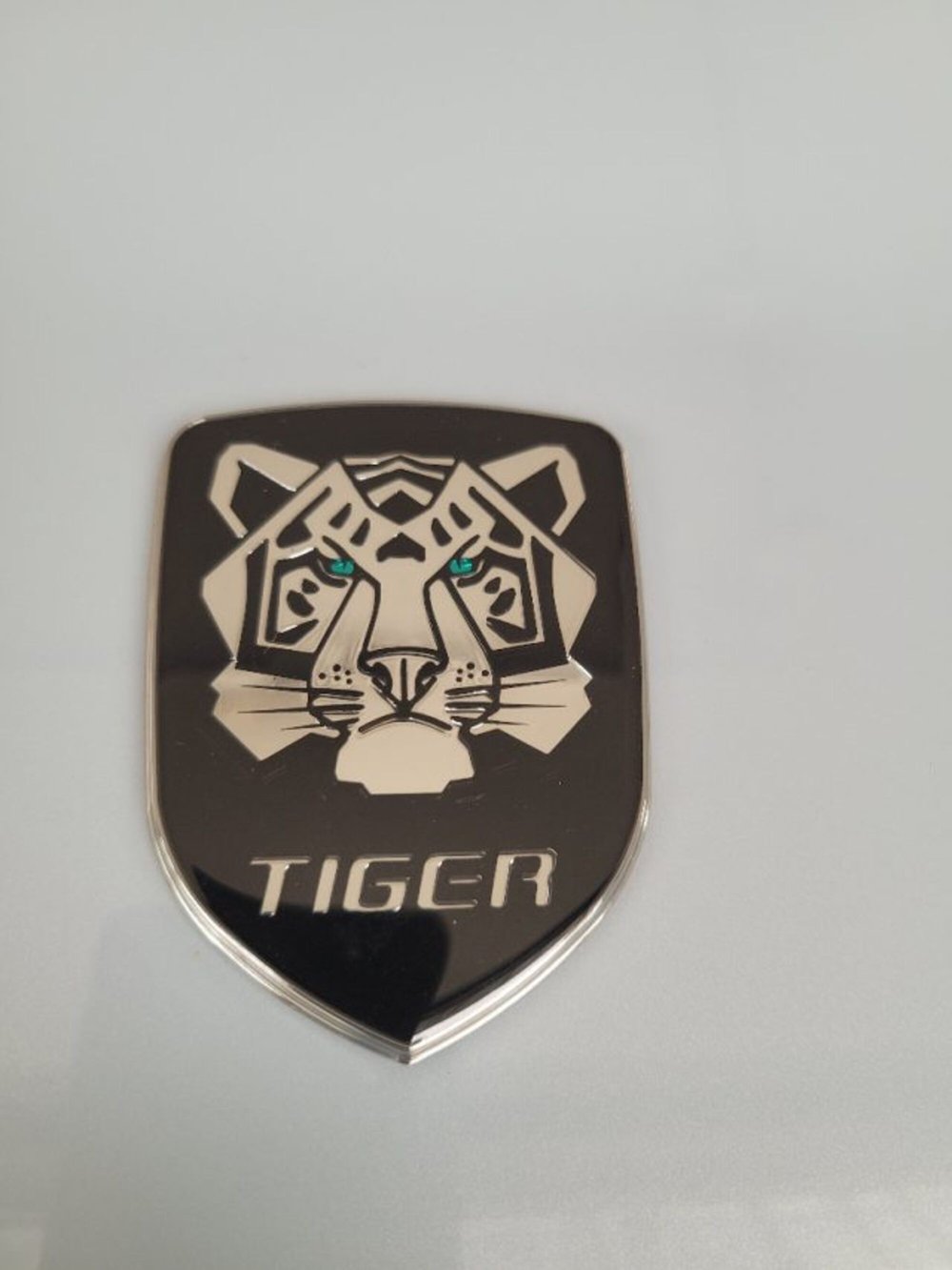 Tiger Six nuova a Bologna (10)