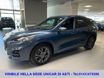 Ford Kuga 2.0 EcoBlue 120 CV aut. AWD ST-Line del 2023 usata a Alba