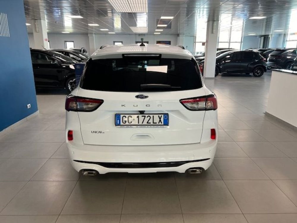Ford Kuga usata a Cuneo (5)