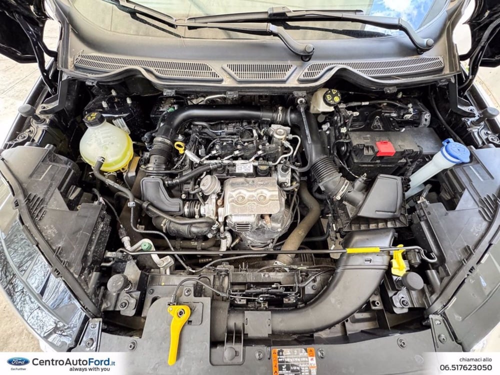 Ford EcoSport usata a Roma (12)