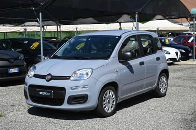 Fiat Panda 1.0 firefly hybrid s&amp;s 70cv 5p.ti del 2022 usata a Pianezza