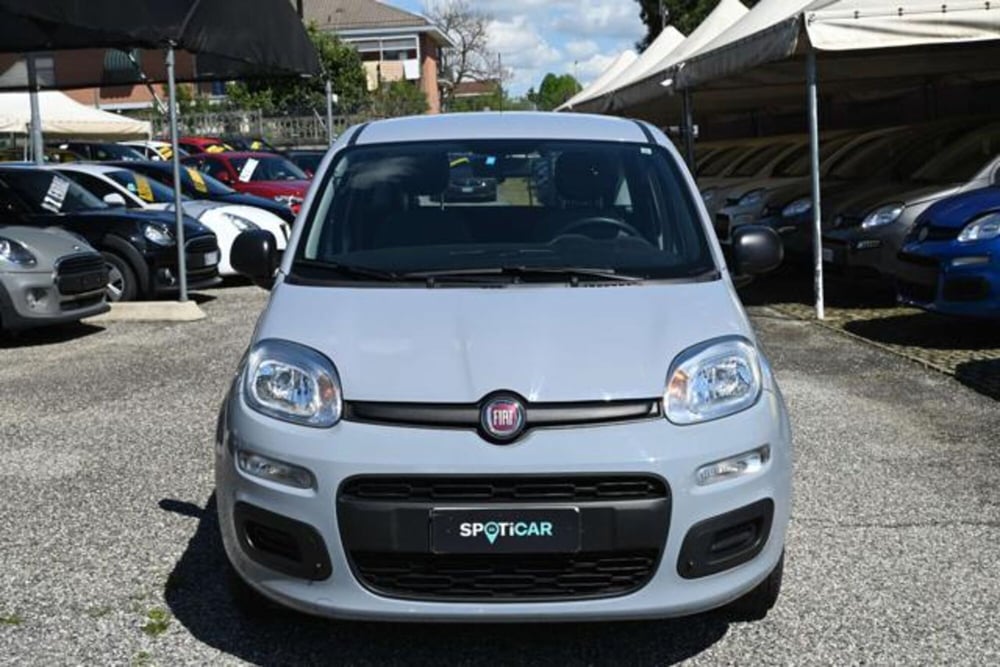 Fiat Panda usata a Torino (2)