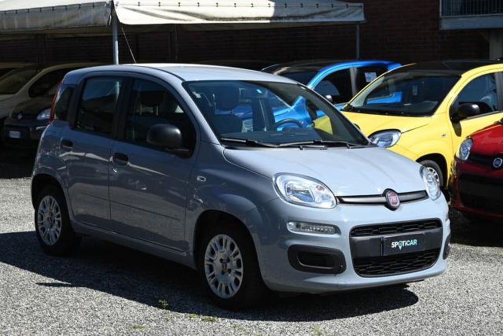 Fiat Panda usata a Torino (3)