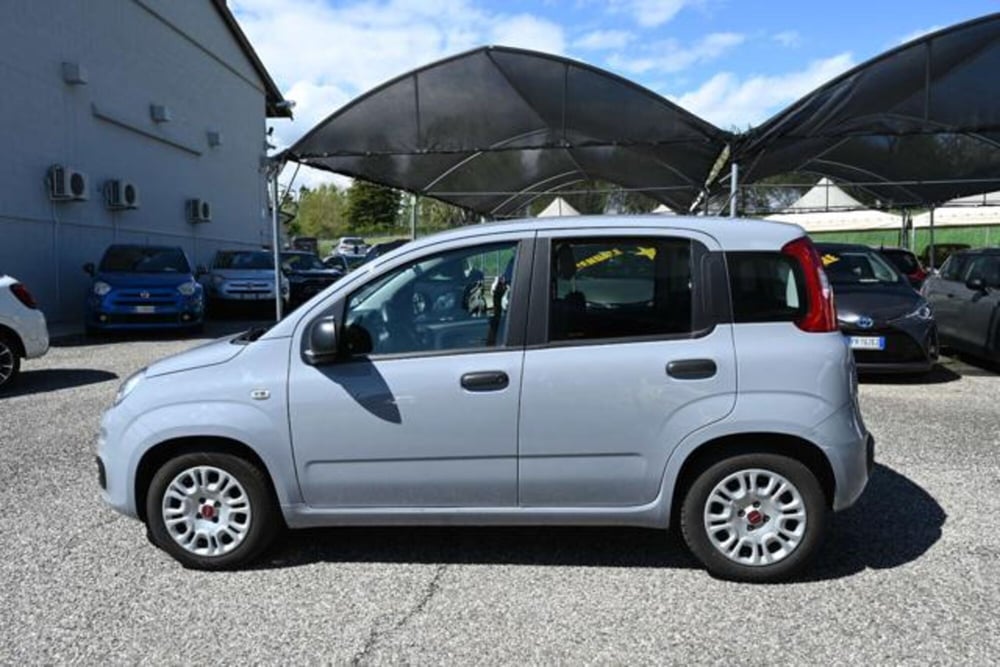 Fiat Panda usata a Torino (8)