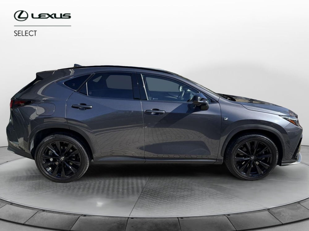 Lexus NX usata a Como (13)