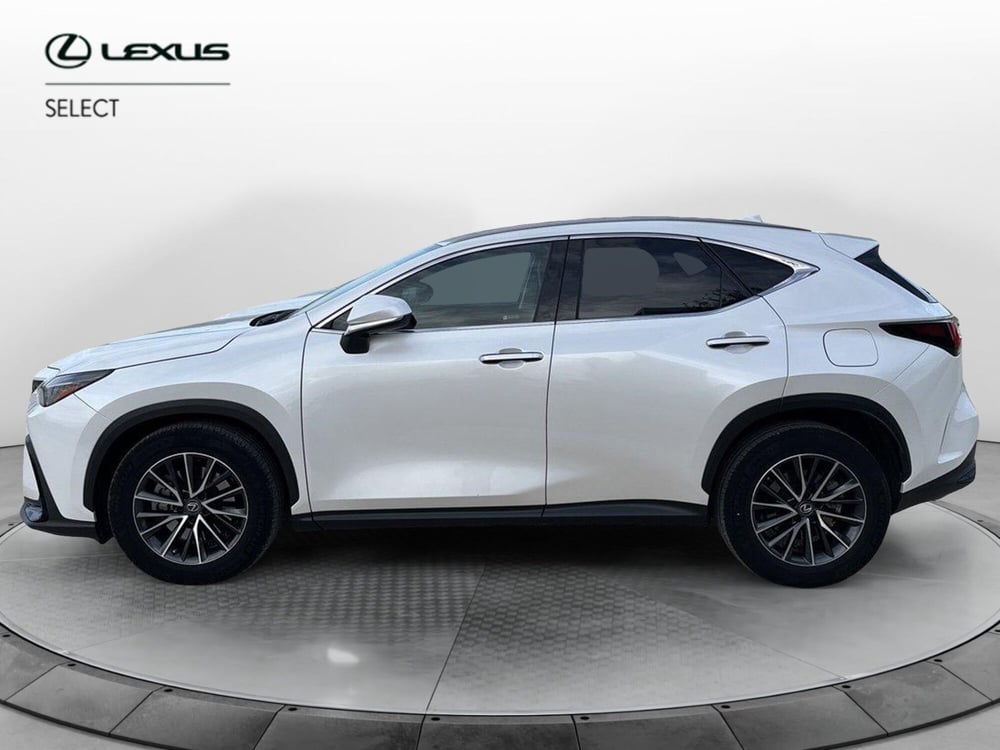 Lexus NX usata a Ragusa (2)