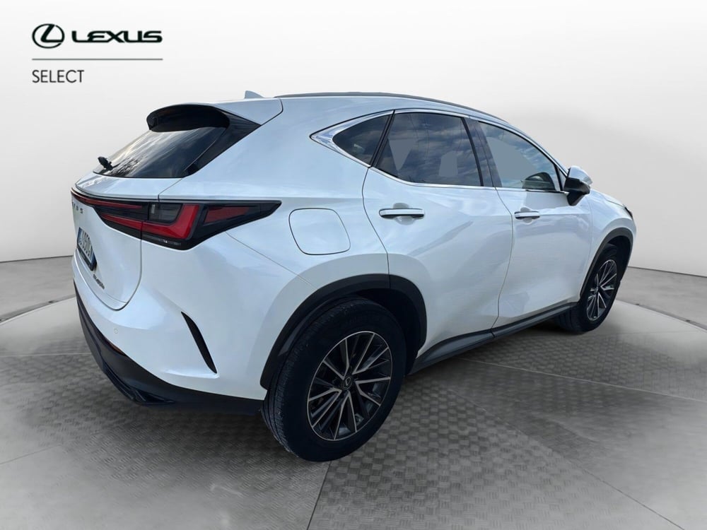 Lexus NX usata a Ragusa (3)