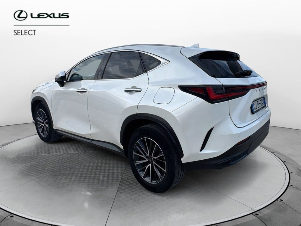 Lexus NX usata a Ragusa (4)