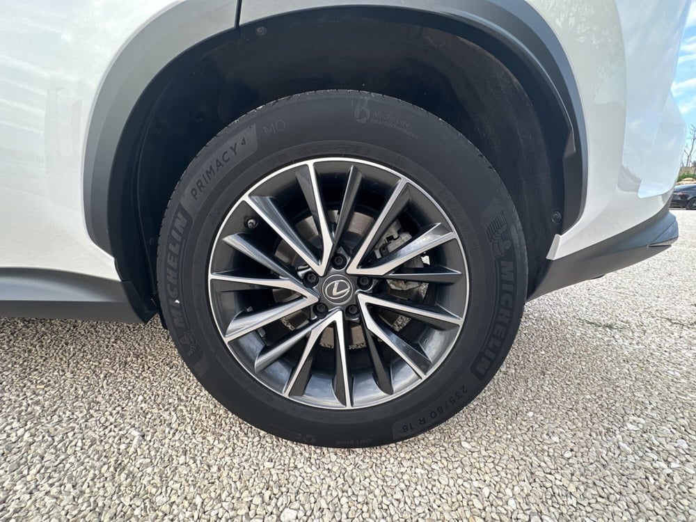 Lexus NX usata a Ragusa (5)