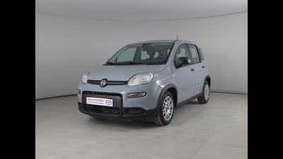 Fiat Panda 1.0 firefly hybrid s&amp;s 70cv 5p.ti del 2023 usata a Palermo