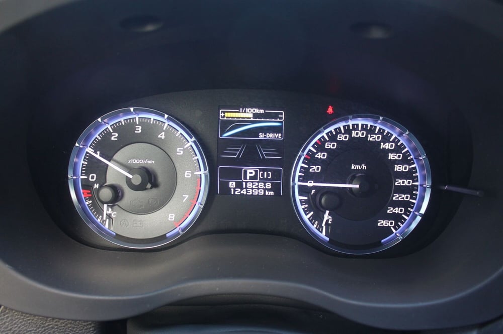 Subaru Levorg usata a Cuneo (13)
